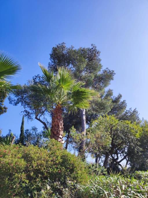 Villa La Californienne à Carqueiranne Extérieur photo